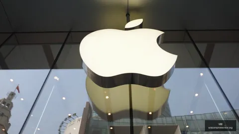 女篮终极对决：狂热山猫，情报分析揭示连胜秘诀
